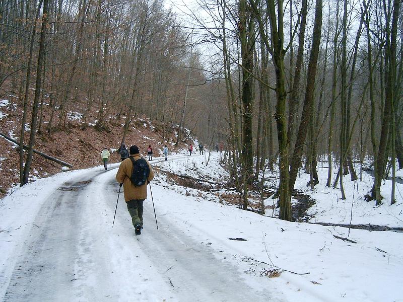 20110219 067.jpg